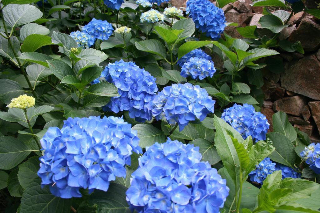 Finca El Carpintero 赫尔特 外观 照片