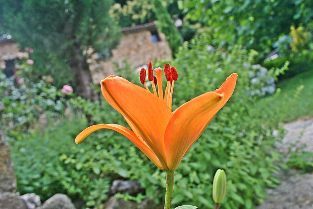 Finca El Carpintero 赫尔特 外观 照片