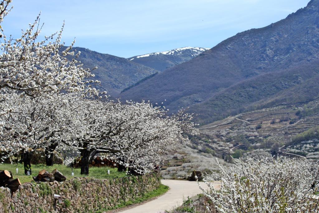 Finca El Carpintero 赫尔特 外观 照片