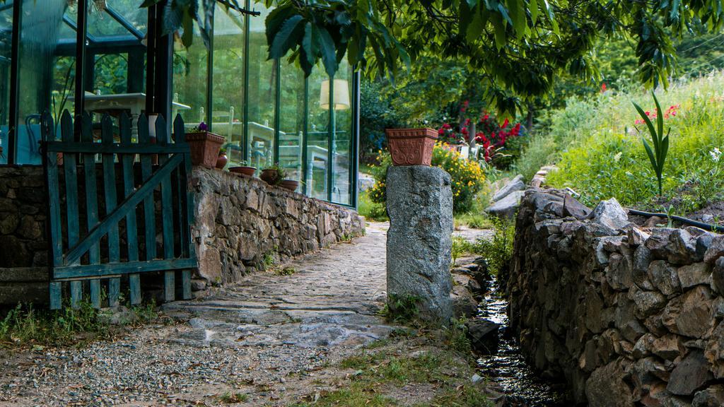 Finca El Carpintero 赫尔特 外观 照片