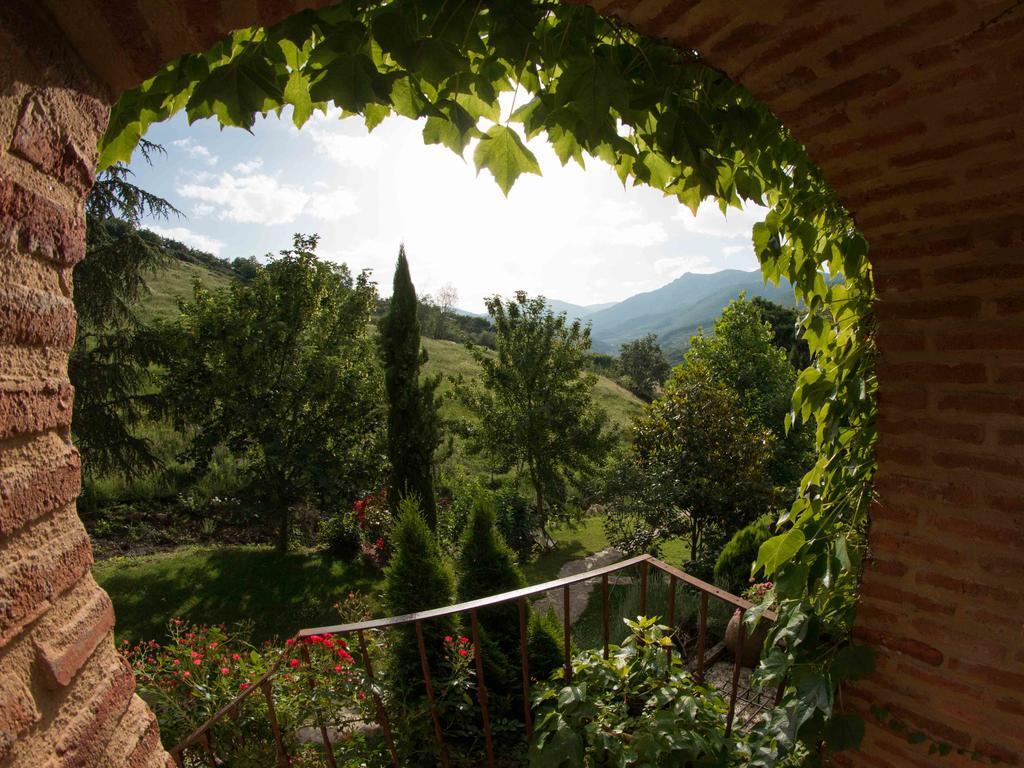 Finca El Carpintero 赫尔特 外观 照片
